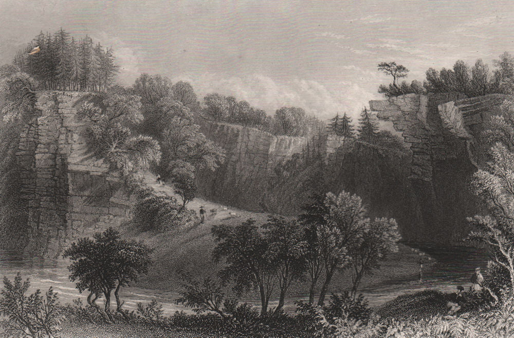 Banks of the water of Ayr. Ayr River, near Ballochmyle. Scotland. BARTLETT c1840